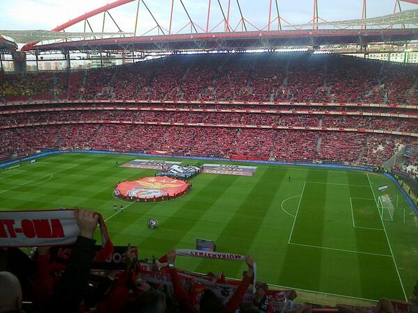 MatiasOGlorioso's tweet image. #Vida #Redpass #Amor #Luz #CarregaBenfica #Hashtag @SL_Benfica