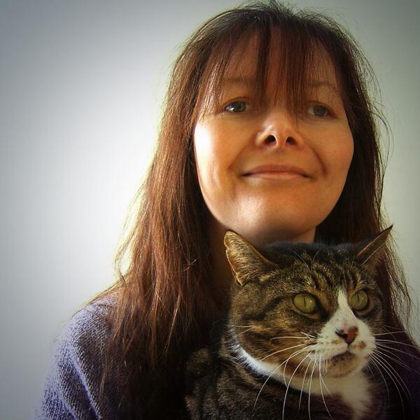 tigpuss's tweet photo. According to my mummy @Munchkin2009uk this is a #catselfie http://t.co/7cOoKqfV5b