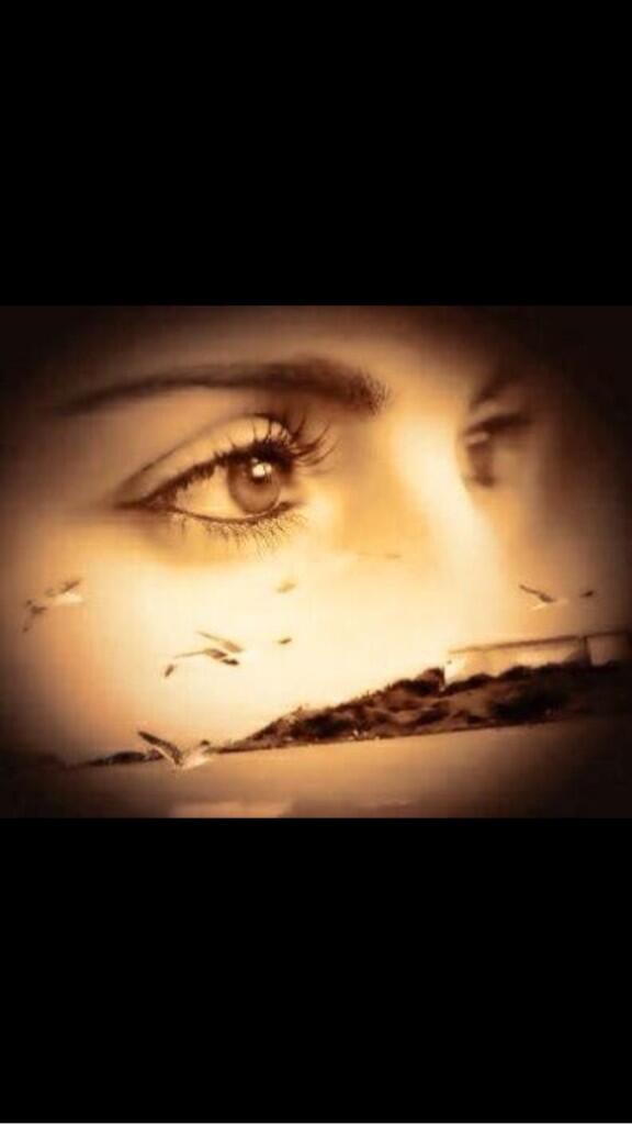 ro_harb tweet picture
