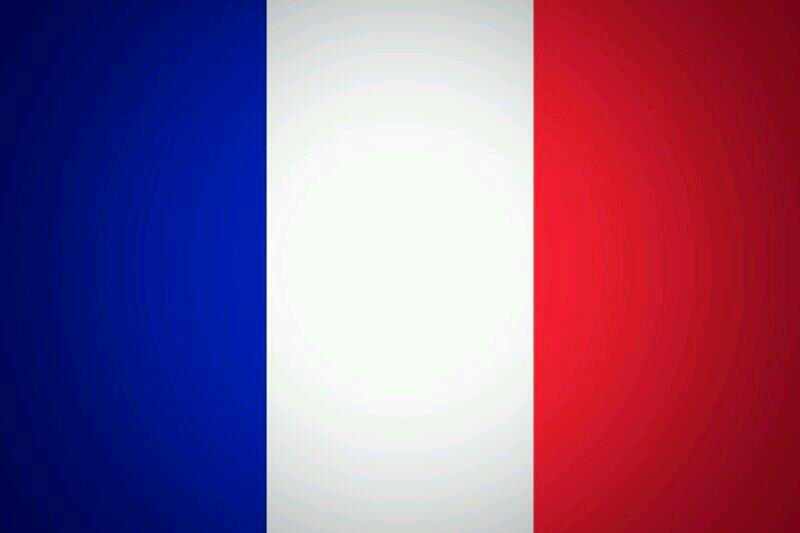 Konnect 留学情報 豆知識 En Twitter 国際豆知識 フランス国旗 フランス国旗の色は 青 自由 白 平等 赤 博愛 を意味 すると言われるが それは後から考えられた意味です 本来は 白 仏王家の色 を 青と赤 パリ市の紋章色 で挟むことで パリと王家の和解を