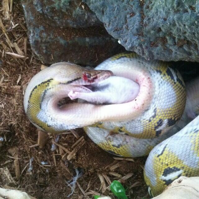 Bloodbath. http://t.co/ChbGIOxaav