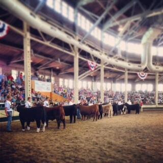 WORK HARD, STAY HUMBLE!