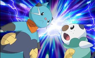 #PokemonNews tweet media