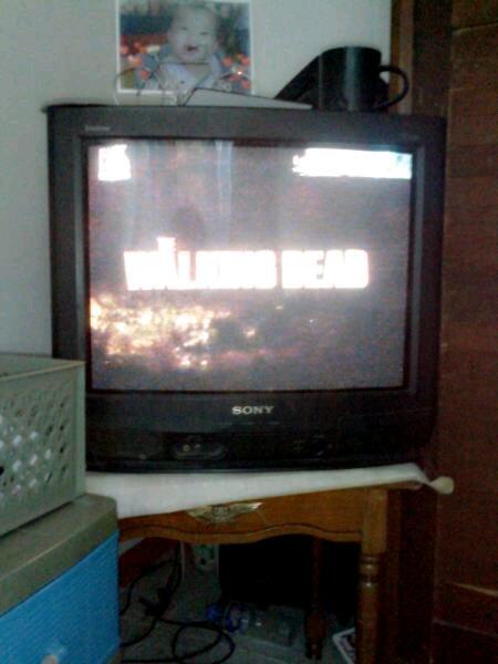 iam_ICEN's tweet photo. Begins now. #TheWalkingDead @wwwbigbaldhead @ReedusOwnsMe .. http://t.co/0haJ82zoO3