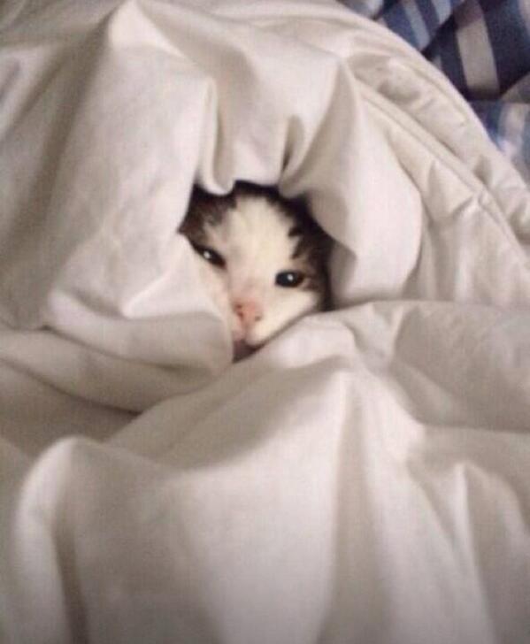 MailboxLincoln's tweet image. #mondaymorningproblems