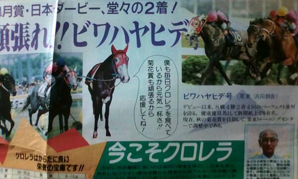 Stay Dream Pa Twitter ビワハヤヒデのこといろいろ 16戦10勝 ｇ 3勝 デビュー以来15戦連対はシンザンに次ぐ歴代2位記録 の名馬ビワハヤヒデ24回目の誕生日おめでとう ビワが活躍しだした頃は第二次競馬ブーム こういった広告が当時の世相を物語ってますね Http