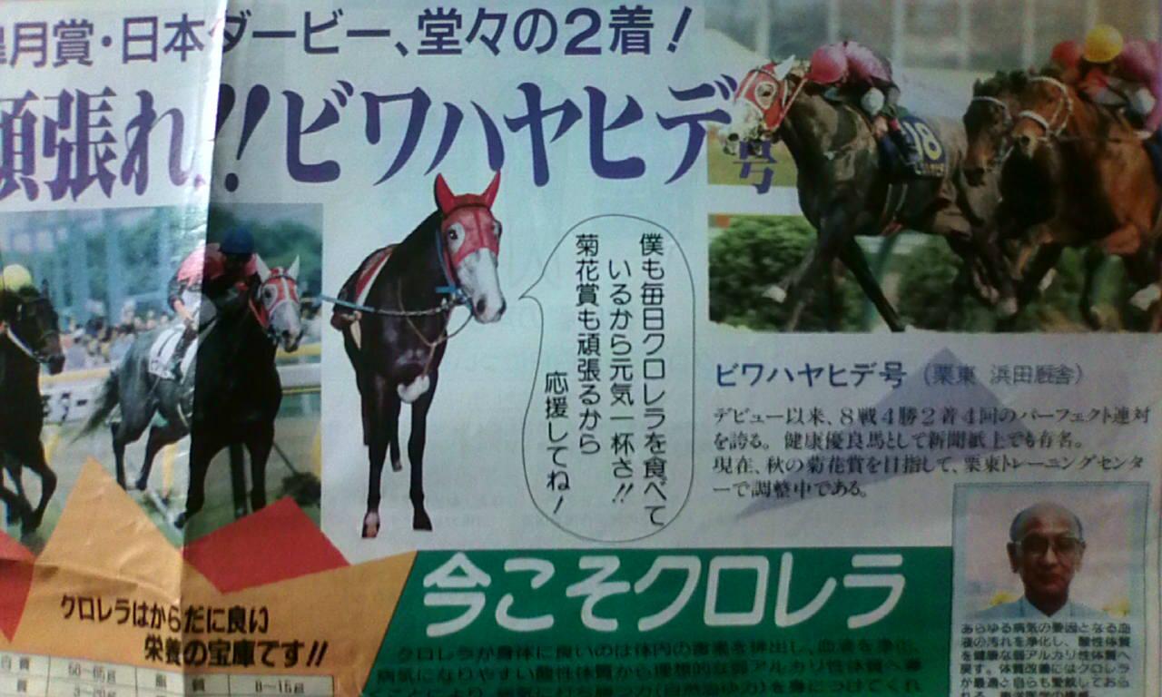 Stay Dream ビワハヤヒデのこといろいろ 16戦10勝 ｇ 3勝 デビュー以来15戦連対はシンザンに次ぐ歴代2位記録 の名馬ビワハヤヒデ24回目の誕生日おめでとう ビワが活躍しだした頃は第二次競馬ブーム こういった広告が当時の世相を物語ってますね Http
