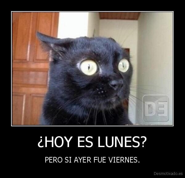 Colmenero's tweet photo. ¿Como puede ser? http://t.co/no8W4O56UP