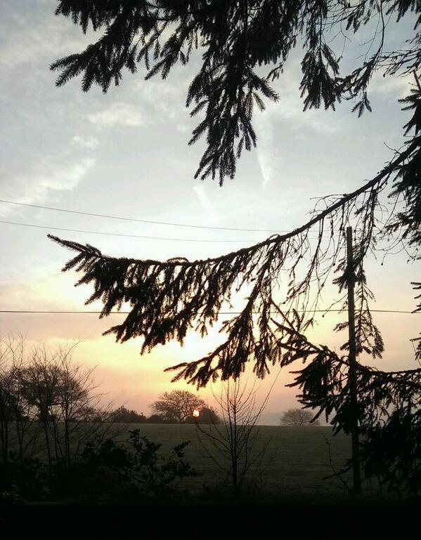 AMLaneLtd's tweet image. A beautiful spring morning in Devon. I'm of to @R2_Online working group to develop Senior Craftsman Treeworker. #rtwo