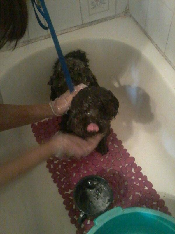 agosgargiulo's tweet photo. Hoy me tocaaa http://t.co/WlgoepKZ45