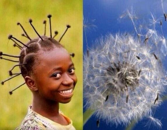 FailsEnFotos's tweet photo. -ERES LA FLOR QUE ME HACE SEGUIR LUCHANDO
+YO TAMBIÉN TE QUIERO http://t.co/EQ3usQbCs2