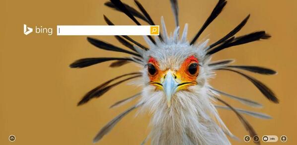 deepVuHQ's tweet image. “@Microsoft: Caption this @Bing homepage image: http://t.co/ptACXIZ54u” bing #image_search is actly awesome &amp;amp;great resrc 4 #visiontraining