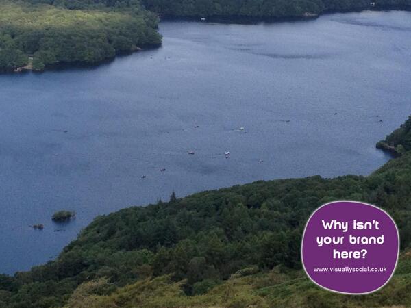 VisuallySocial tweet picture