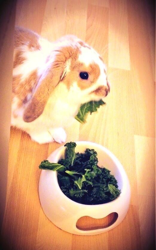 My naughty Mummy hadn't noticed the adorable love heart on my face!! Thank you <a href="/jannymorgan/">Jan Morgan</a> for pointing it out :-)