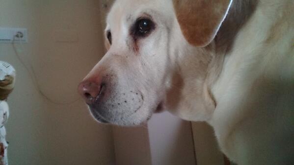 Nieves (@nieves_gdf) on Twitter photo 