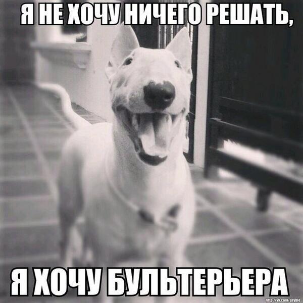 Желать нечего. Я котэ и я ничего не хочу делать. Желать нечего. Больше нечего терять. Я хакер.