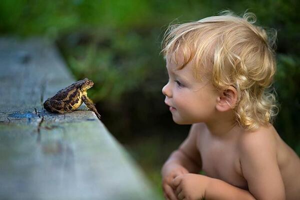 Gabriele_Corno's tweet photo. "The Prince" http://t.co/nhpiZYT55u
