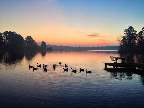 Sunrise with the ducks <a href="/LakeTiakOKhata/">Lake Tiak-O'Khata</a>
