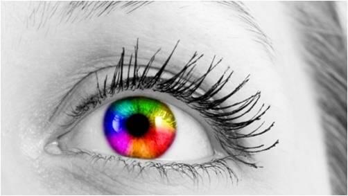 SI’BON scoort op Vakbeurs hub.am/1i3GSug’bon-scoort-op-vakbeurs-voor-de-creatieve-industrie-met-sign