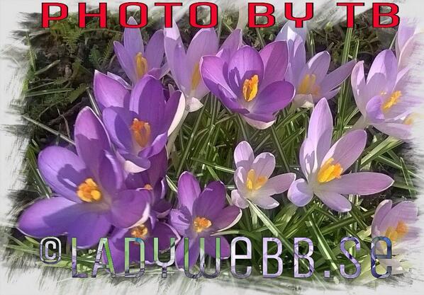 ladywebb4u's tweet photo. En bild av känslan d fick just nu är fångad f evigt.
Visa de s behöver positiva energier o glädje #layout #photo http://t.co/h9kbOYmUr3