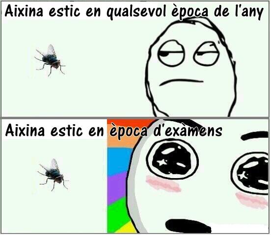 HumorenValencia's tweet photo. Aixina és la realitat... http://t.co/1Io8wGcO4x