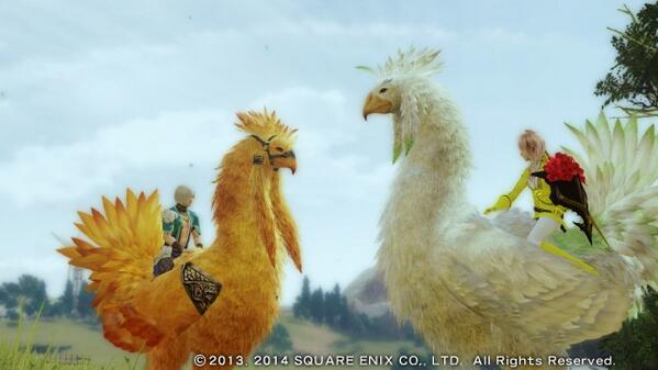 MMYDMakaiMaid's tweet photo. chocobo ETHER meeting #_L13 http://t.co/dcDQvllvlU