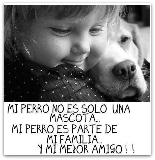 MakingGuau tweet picture