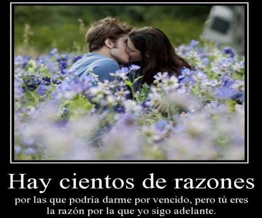 Angeles_neira's tweet photo. Cuando pienso en ti me desvelo y al desvelarme siento miedo, miedo de quererte tanto como ya te quiero! http://t.co/c0KZmEUDdC