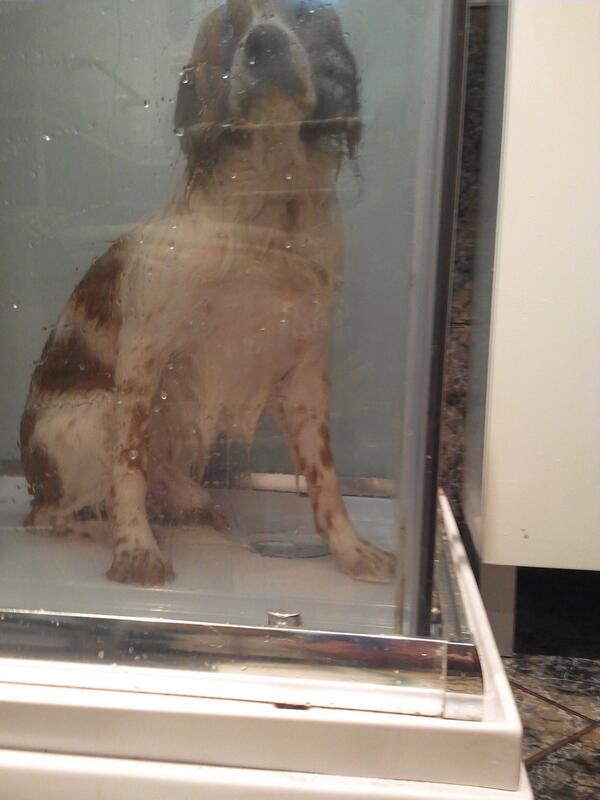 chaka2309's tweet photo. Duchando a bobo con carita de pena xD @anitaR_C @0103_marta http://t.co/4REHKyEMix