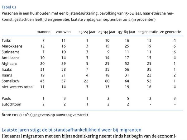 Helft Somaliërs en vele andere uit Irak, Marokko en Afghanistan profiteren van onze bijstand. Bedankt he, PvdA en SP!