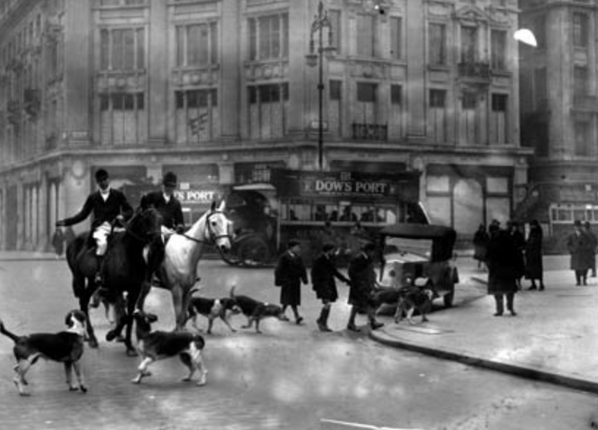 historicalLDN's tweet photo. 1931. A fox hunt, Oxford Circus. http://t.co/8eVmDZ8TEO