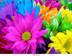 florybethvarela's tweet photo. http://t.co/UlEHNMasks