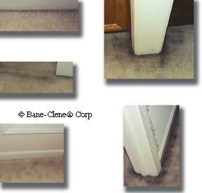 CleanItRite's tweet image. Ring Around The Room - cleanitriteinc.com/ring-around-th…