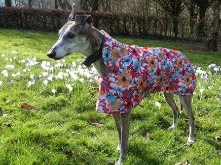 MilgiCoats's tweet photo. Here's Sara modelling our Bohemian Blooms raincoat. http://t.co/F7s6lAJO9W