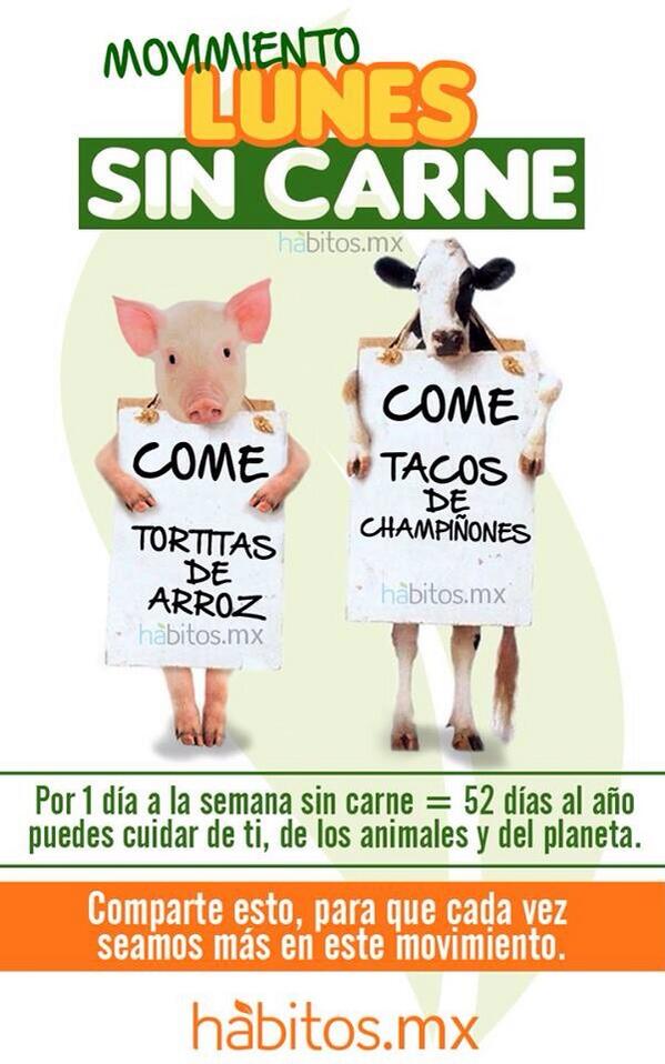 AiSlinn_Derbez's tweet photo. Hoy es #LunesSinCarne apoyemos este movimiento, salvando muchas vidas, y mejorando altamente nuestra salud ☺️💚 http://t.co/xJ5uzrLCbA