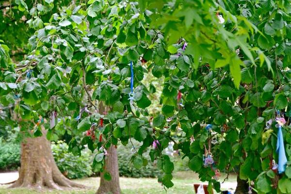 De lente is in zicht! Bijna terug tijd voor onze groene blaadjes! #tuttenboom 🍃 🌿 🌺 🐒🐰 ☀️