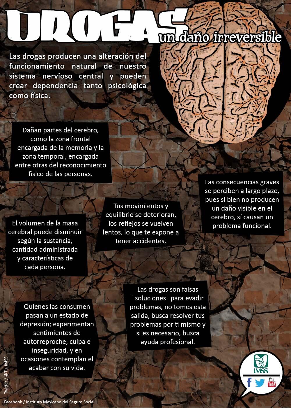 Cerebro Danificado Por Drogas
