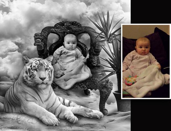 creative canvas (@canvasdesigns_) on Twitter photo 