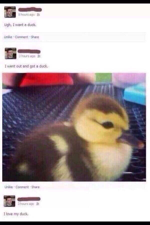 SIX6OD's tweet photo. chase ur dreams http://t.co/tAxdoLi4Qq