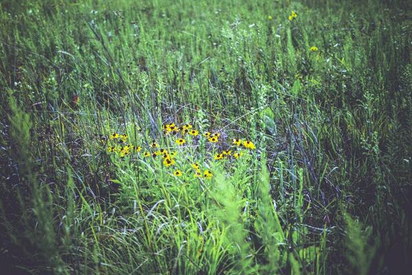 efficient123's tweet image. I hope everyone enjoyed this beautiful day?