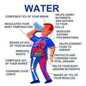 LiquidofLife's tweet image. #Factsyoudidntknow#bodyloveswater#8glassesaday💧💪👌