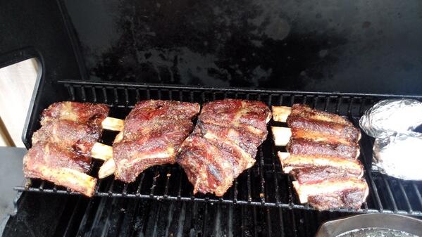 DylsterH's tweet photo. Remember folks cattle are ribbed for your pleasure! http://t.co/7DuUcjktnx