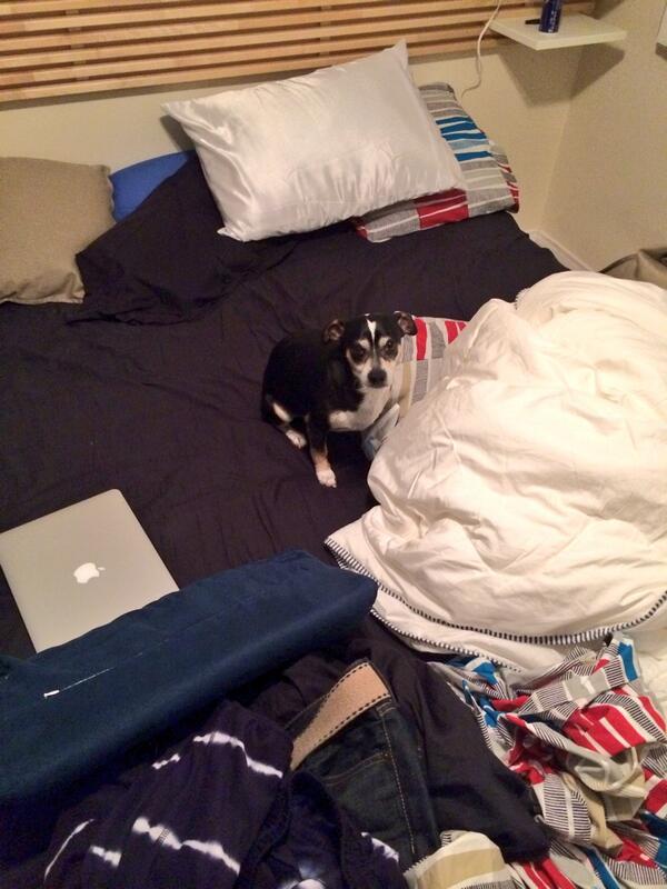 RickyPDillon's tweet photo. Whenever Jc isn't home I suddenly become wishbones second choice because he follows me around but he's cute so http://t.co/wWfjVMPK6v