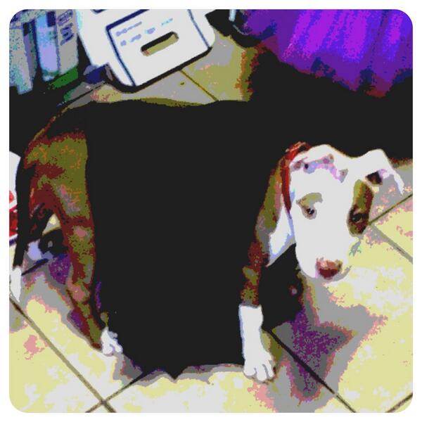 Leze Lamprecht tweet media