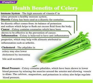 Wellzoneindia's tweet photo. We love celery;)  Here is a list of its benefits !  Share it with your friends now! http://t.co/FZQUuur1Yo