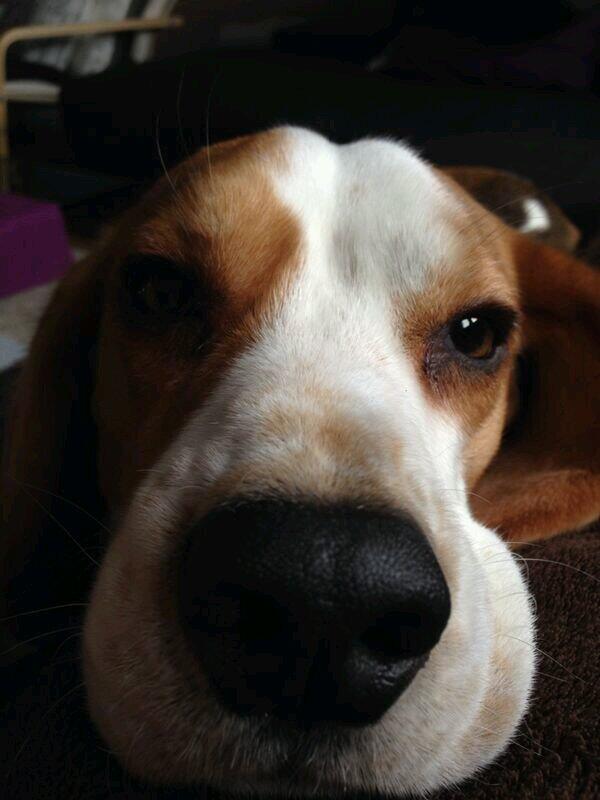 Mit papa zu hause chillen