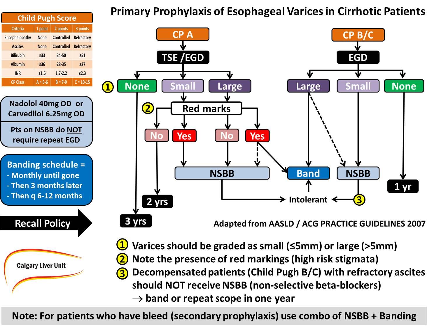 Kelly Warren Burak Calgary Liver Unit Approach To The Prophylaxis Of Esophageal Varices In Cirrhotics Based On sld Acg Guidelines Http T Co 2ilw4ycwkd Kelly Warren Burak Calgary Liver Unit Approach To The Prophylaxis Of Esophageal Varices In Cirrhotics Based On sld Acg Guidelines Http T Co 2ilw4ycwkd