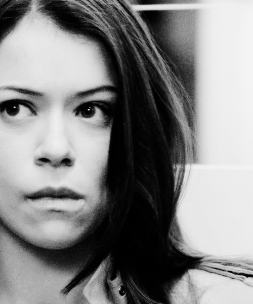 httpsmaslany tweet picture
