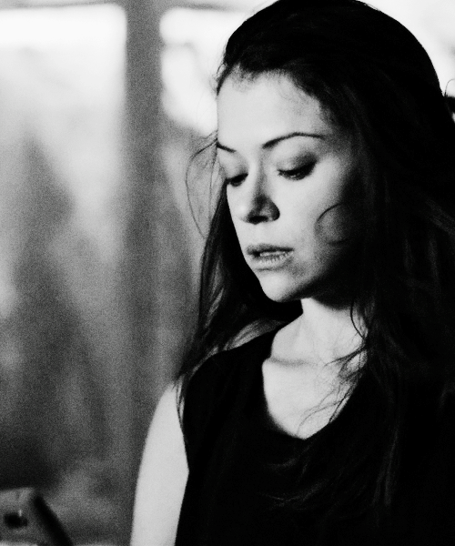 httpsmaslany tweet picture