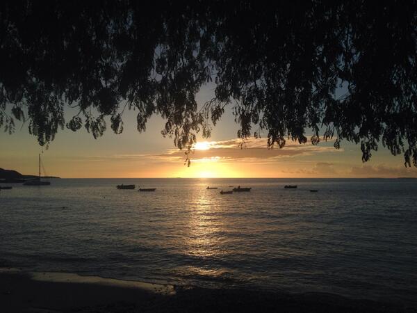 Beautiful! @CocoConcussion: Under the tamarind tree #CrocusBay #Anguilla